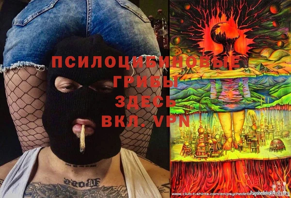 гидра Богородск