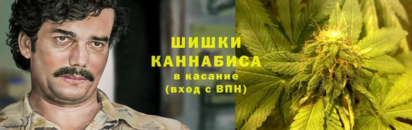 гидра Богородск