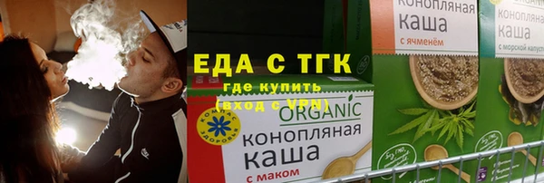 гидра Богородск