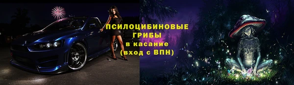 гидра Богородск