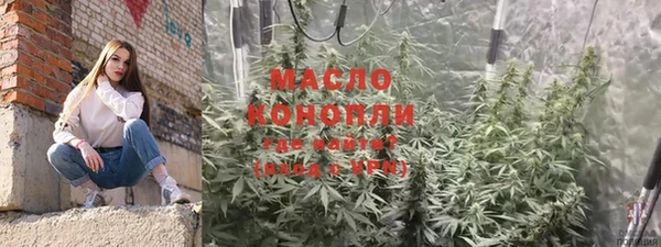 гидра Богородск