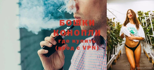 гидра Богородск