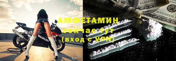 гидра Богородск