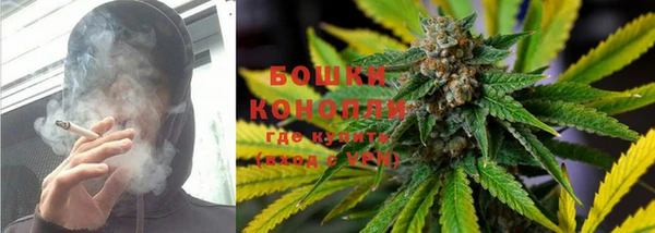 гидра Богородск