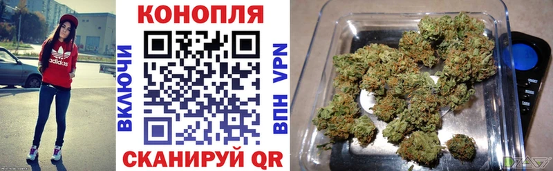 Канабис планчик Гороховец
